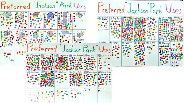 Community Voices for Alternative Park Usage